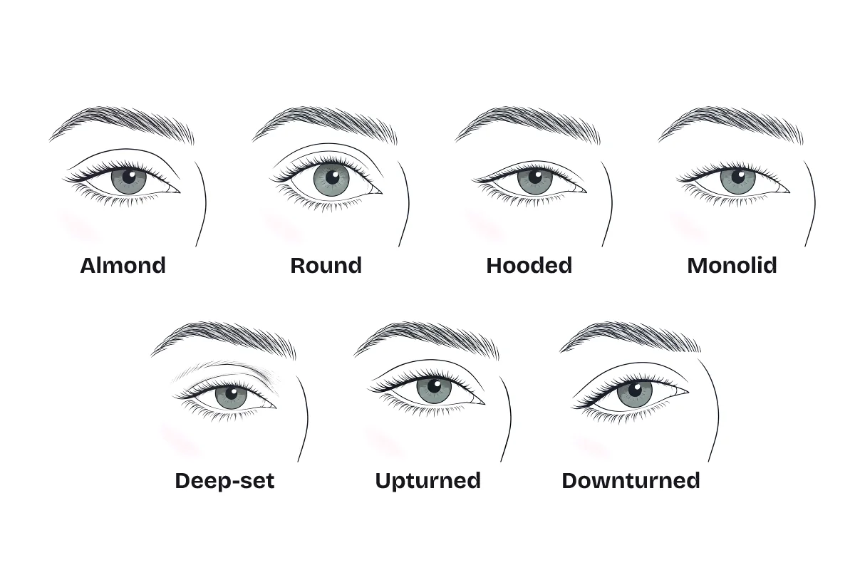 Eye shape chart with line illustrations labeled almond, round, hooded, monolid, deep-set, upturned and downturned.