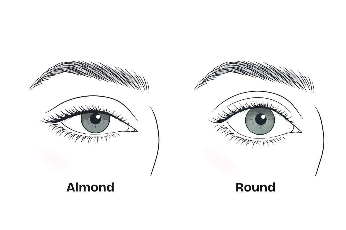 Two eyes side by side, labeled: almond, longer than tall with the lids touching the iris; and round, taller and more open with white showing below the iris.