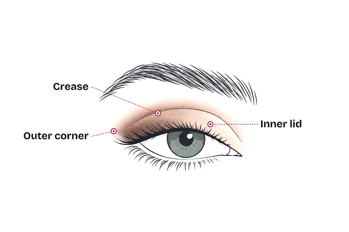 Eyeshadow placement on an almond eye: a medium shade through the crease, a deeper shade at the outer corner, and a light shade on the inner lid.
