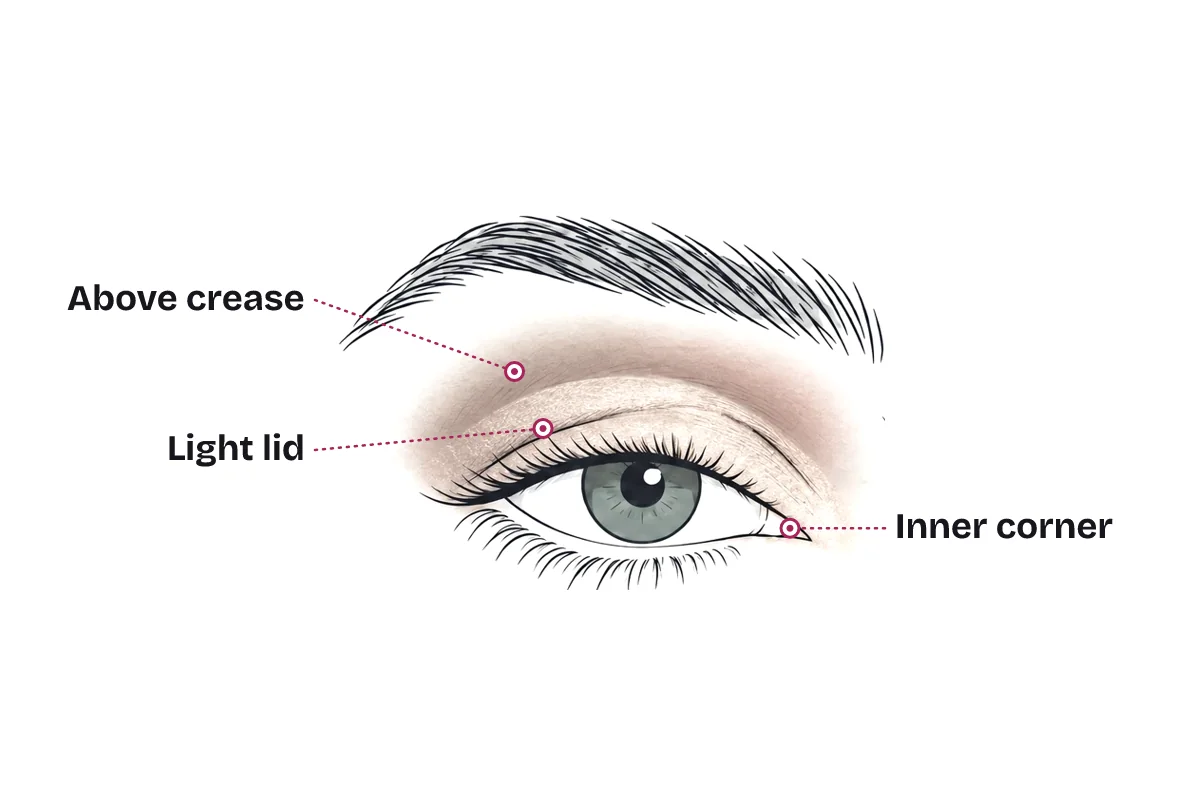 Eyeshadow placement on a deep-set eye: a mid-tone shade just above the crease, a light shade across the lid, and a bright highlight at the inner corner.