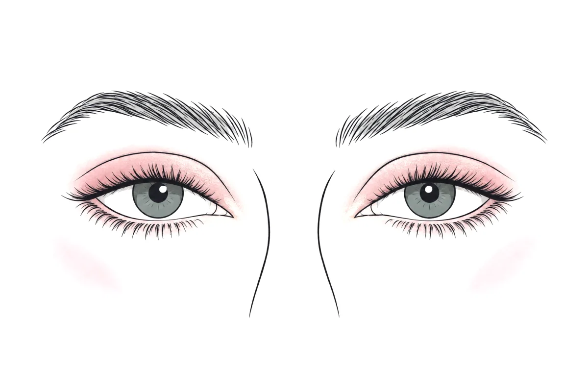 Line illustration of the doe eye makeup look: soft rose shadow on the lid, thin rounded liner along the upper lashes with no wing, and lashes that make the eyes look rounder.