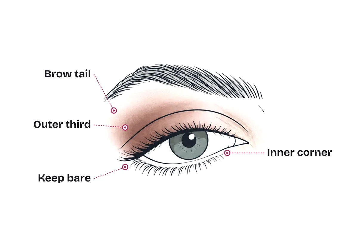 Eyeshadow placement for a lifted look on a downturned eye: highlight under the brow tail, the deepest shade on the outer third blended up, the outer lower lash line kept bare, and shimmer at the inner corner.