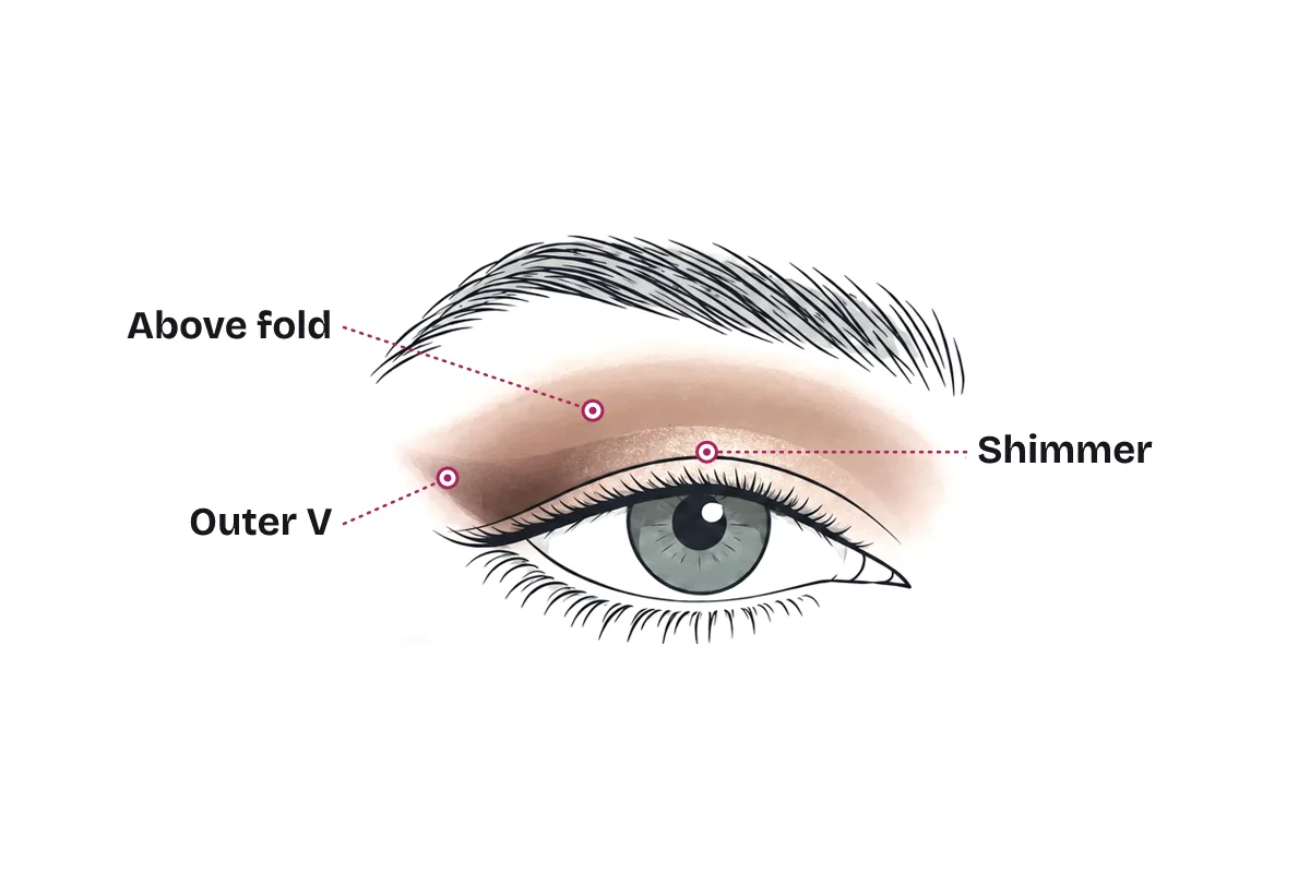 Eyeshadow placement on a hooded eye: a matte crease shade blended above the fold, shimmer on the center of the lid, and a deeper outer V angled up toward the brow tail.