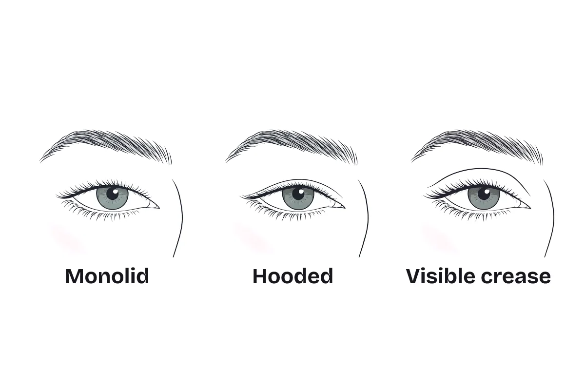 Three eyes side by side, labeled: monolid, with a smooth lid and no crease; hooded, with a fold covering the crease; and visible crease.