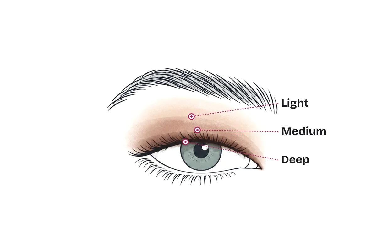 Gradient eyeshadow on a crease-free lid: a deep band at the lash line, a medium band above it, and a light band fading up toward the brow.
