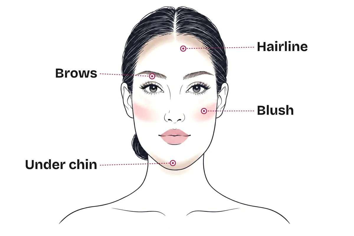 Makeup placement map on an oblong face: straighter brows, soft shading along the hairline and under the chin, and blush placed horizontally across the apples.