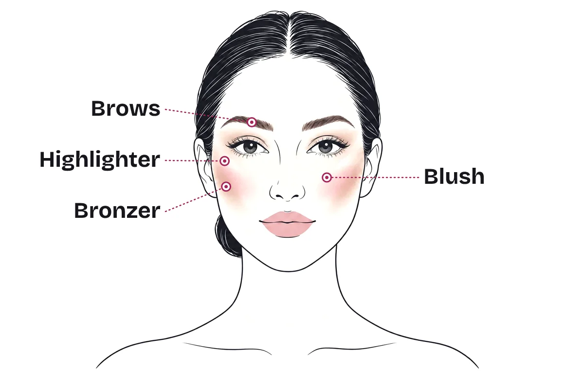 Makeup placement map on an oval face: brows in a soft natural arch, highlighter on top of the cheekbones, bronzer just under the cheekbones, and blush on the apples of the cheeks blended up toward the temples.