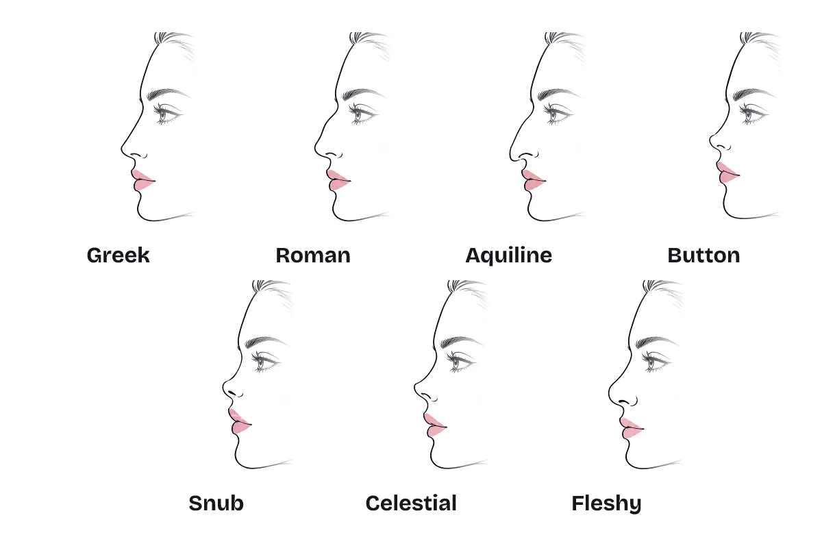 Nose shape chart with side-profile line illustrations labeled Greek, Roman, aquiline, button, snub, celestial and fleshy.