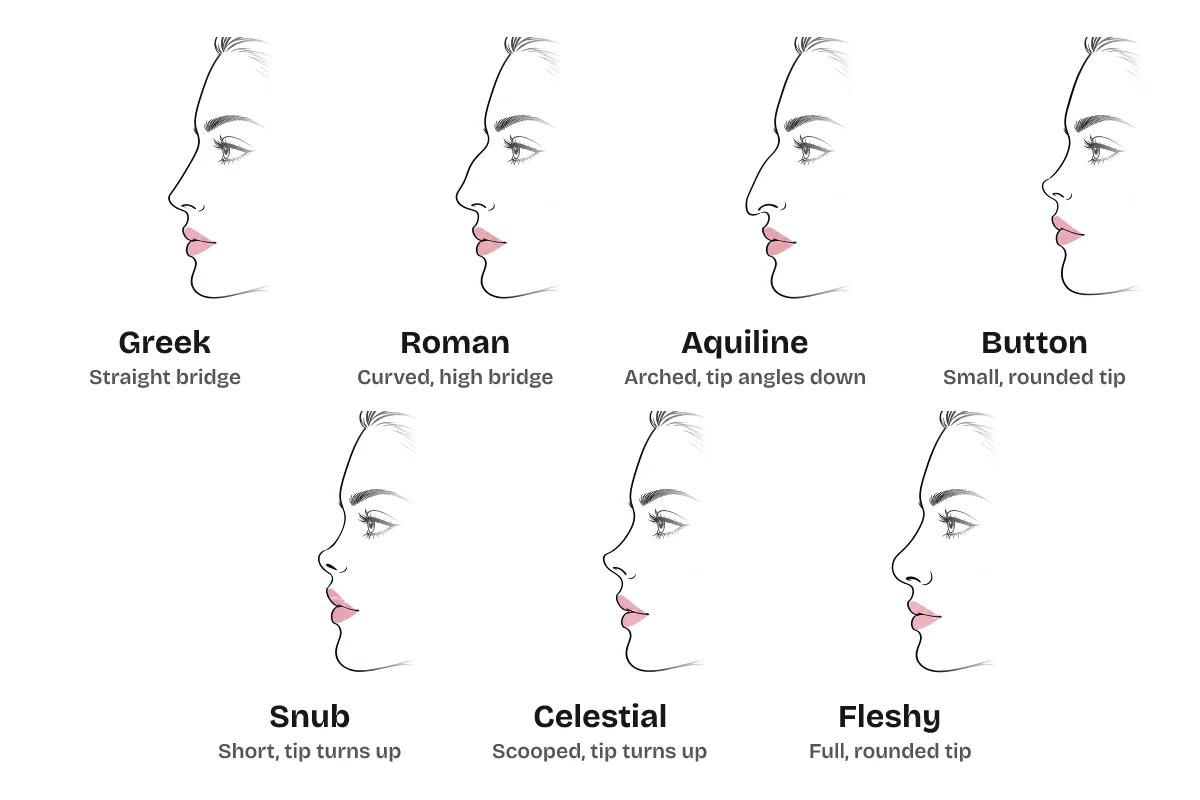 Nose shape chart: seven side profiles of the same woman, labeled Greek, straight bridge; Roman, curved high bridge; aquiline, arched with the tip angled down; button, small rounded tip; snub, short with the tip turned up; celestial, scooped with the tip turned up; and fleshy, full rounded tip.