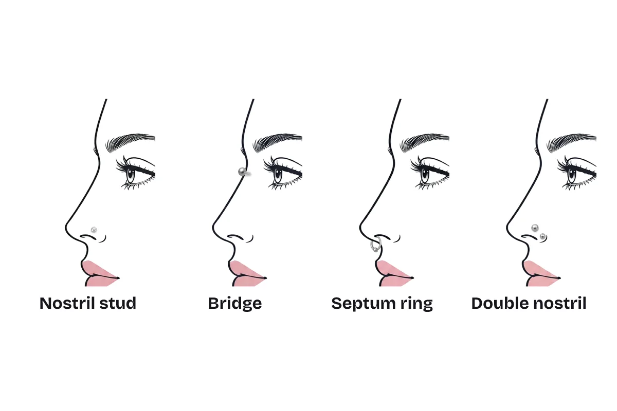 Four piercing placements on the same straight nose in profile, labeled: nostril stud, bridge, septum ring, and double nostril.